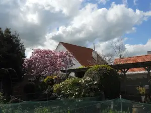 Het Margrietje