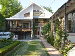 Vila Villador