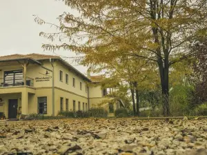 Divá Kačica Restaurant & Pansion