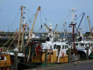 Het Huis Van de Wadden