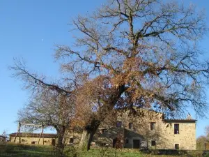 Agriturismo Il Casalino