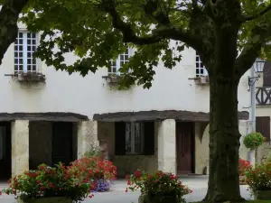 Les Hirondelles