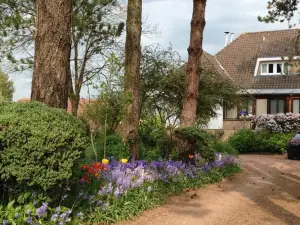 Greenfield Chambres d'Hôtes