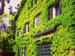 Masia Vista Hermosa