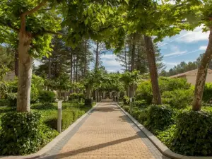 Confluent Health Resort