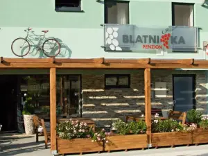Penzion Blatnička