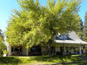 Mount Shasta Ranch Bed and Breakfast