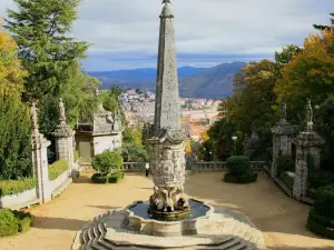 Camping Lamego Douro Valley