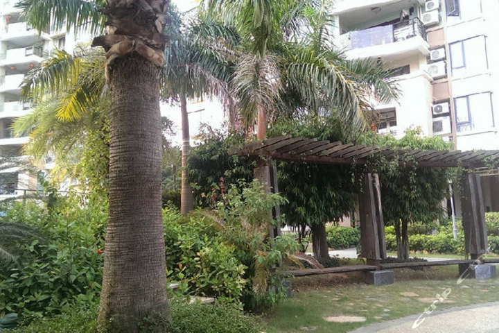 厦门银河钢琴酒店式公寓-单人房团购-原价0元