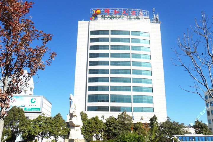 大理祥和大酒店-豪华单人间