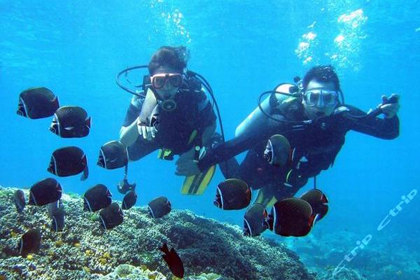 蜈支洲岛一价全包一日游赠送免税店往返车票团
