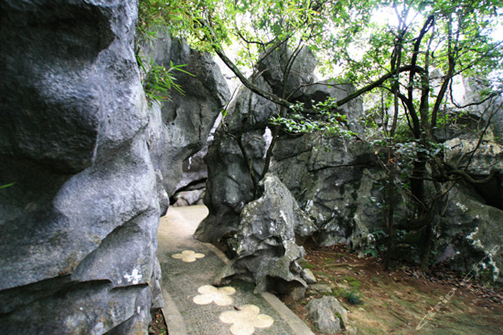 千岛湖桂花岛景区(成人门票含游船)团购-原价100元-团购仅售90元,淳安景点门票团购【携程团购】