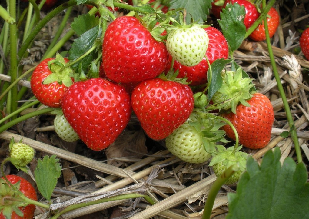 【携程攻略】广州莲花山旅游区团购,莲花山旅