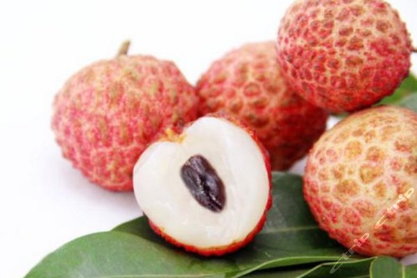 深圳园田荔枝采摘园(20元代金券)团购-原价20