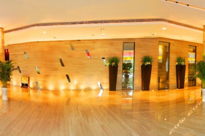 深圳澳城花园酒店-行政大床房(携程直发,立即确