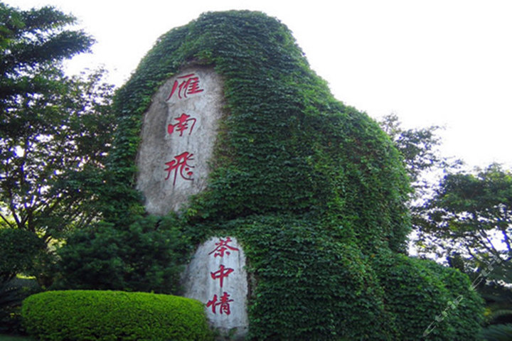 梅州雁南飞风景区-成人门票1张