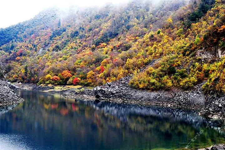 茂县叠溪松坪沟景区(门票1张)