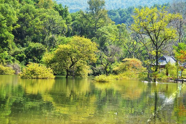 逍遥湖景区团购-原价105元-团购仅售65元,桂林景点门票团购【携程团购】