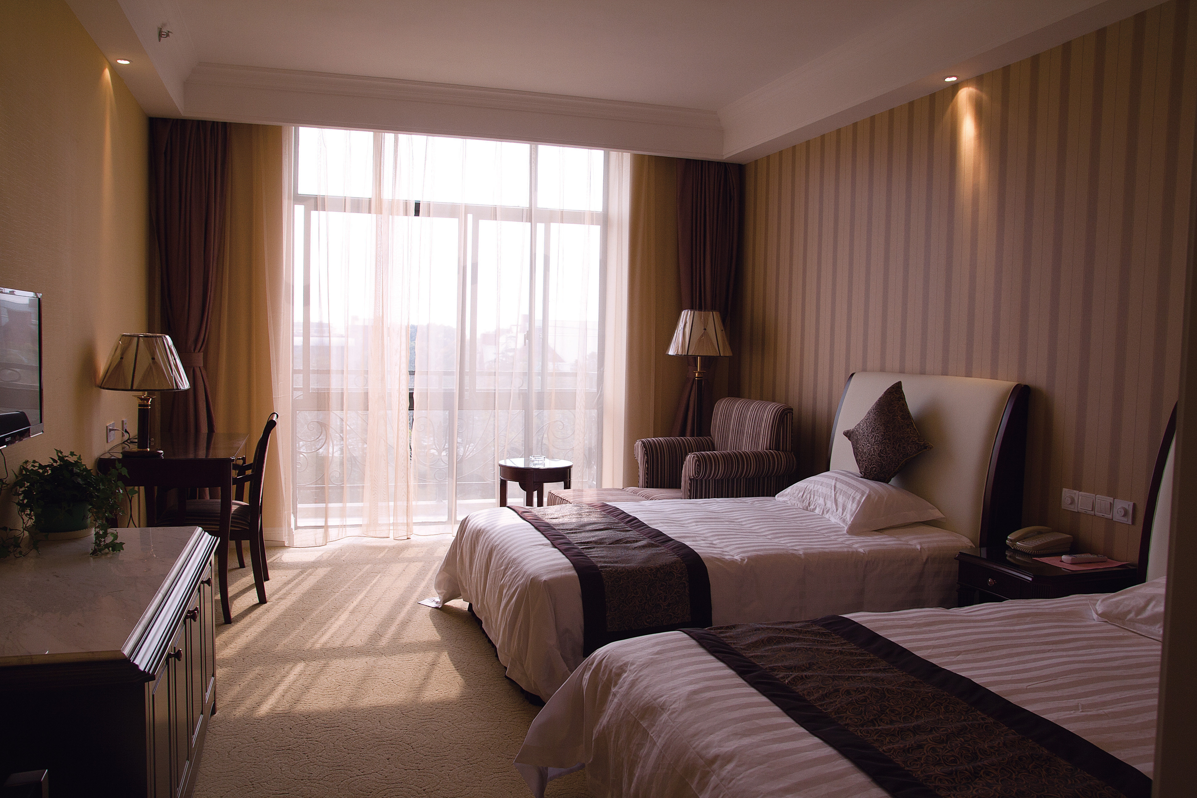 【携程攻略】上海海湾国家森林公园团购,海湾