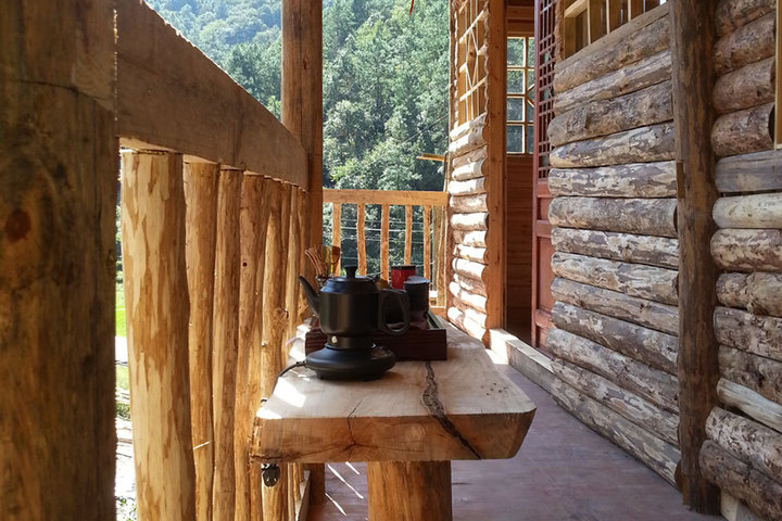 张家界风居住的森林客栈图片