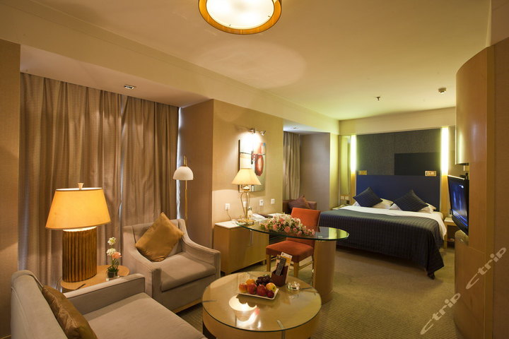 济南银座泉城大酒店-高级套房团购-原价0元-团