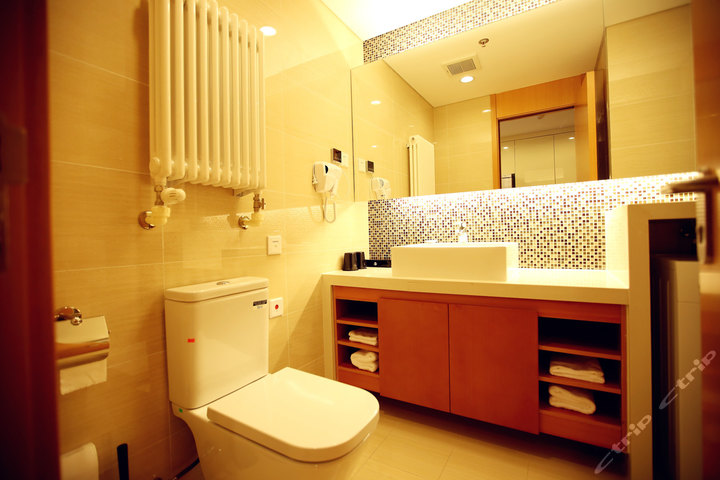 天津凯德国贸度假公寓-豪华大床房(预付)团购-