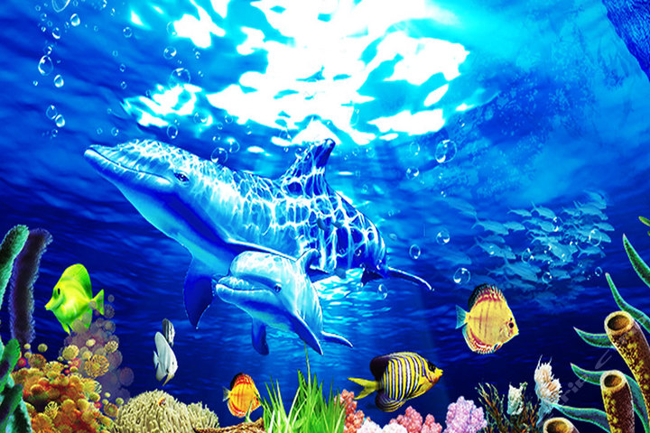 上海海洋水族馆和长风海洋世界有什么不同 哪