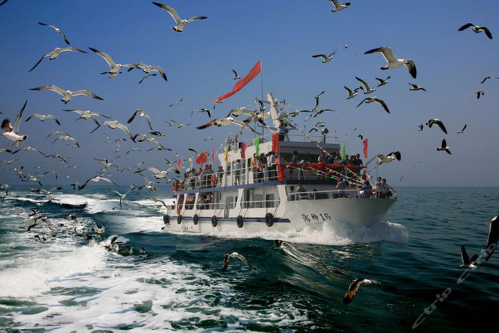 长岛渔家乐+国家级地质公园二日游-1人次团购-原价780元-团购仅售540元,青岛度假旅游团购【携程团购】