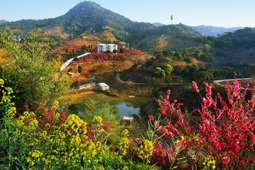 【广州】从化大金峰景区