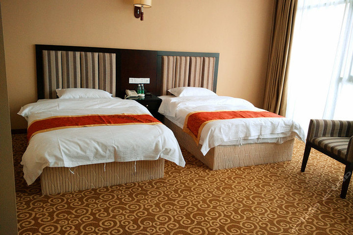 成都维也纳酒店-棋牌房团购-原价0元-团购仅售216元,成都酒店团购【携程团购】