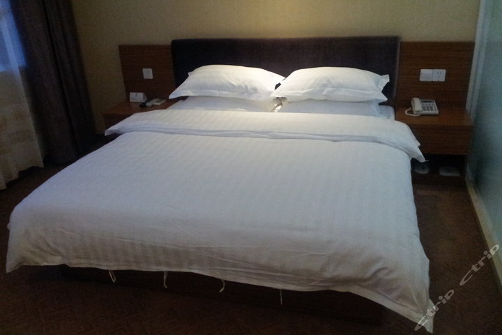 速8酒店(上海浦东新区野生动物园店)-电脑房(内