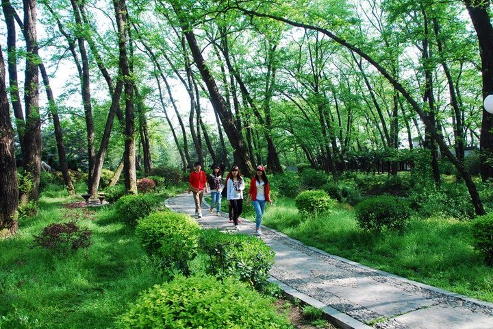 地址(位置,怎么去,怎么走):  广东省珠海市香洲区白莲洞公园相思林