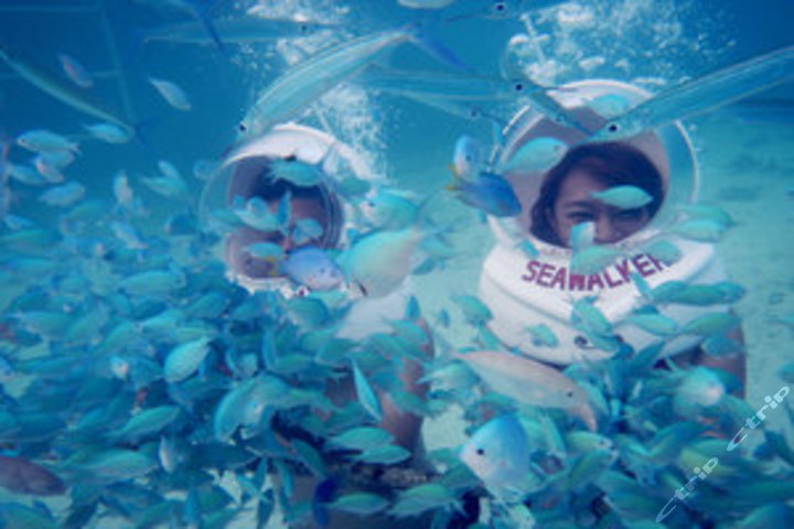 三亚蜈支洲岛一价全包High不停门票1张团购-原