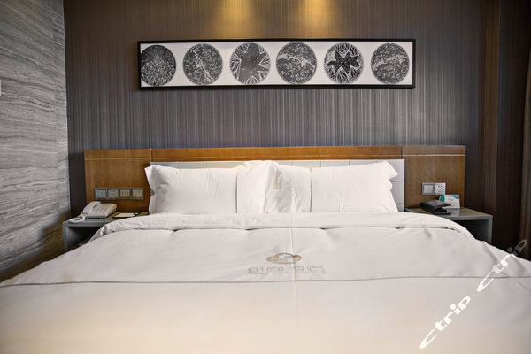 迎商酒店(珠海拱北口岸店)(原伙工殿)-标准大床