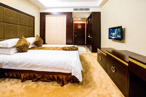 西塘宝鼎大酒店(精品房+西塘古镇景区门票两张