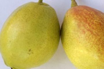 广州越秀公园附近美食公园,广州越秀特色附近团购美食库伦旗图片