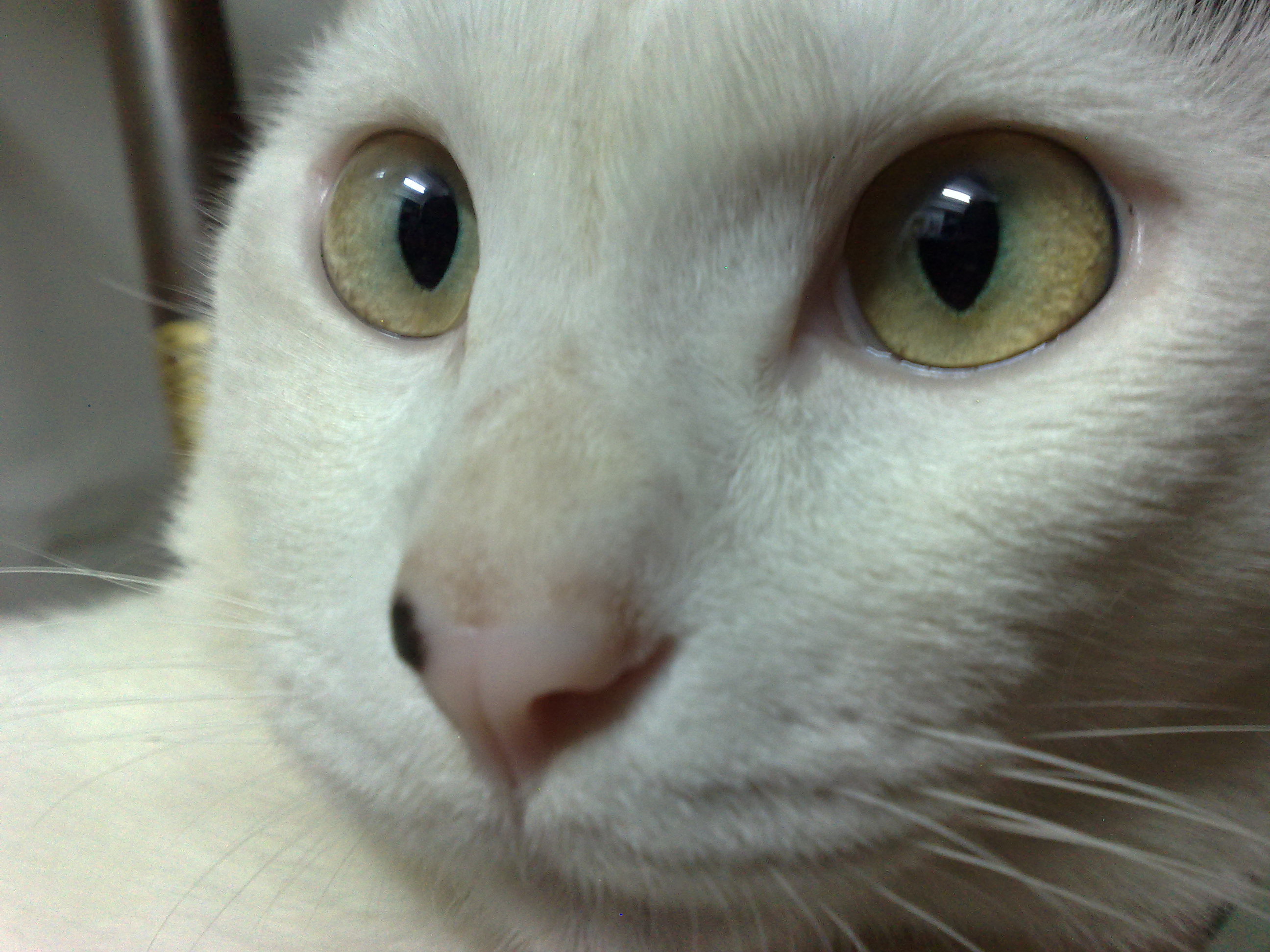 " style="color:#0066cc;cursor:pointer;">联系方式 开平潭江半岛酒店坐落于全国著名的侨乡广东省开平市中心,临江而立,三面环水,是一间集客房、餐饮、会务、康体娱乐、购物为一体的综合型酒店。 酒店拥有精心设计的全江景客套房,无论是高级客房、豪华套房还是行政楼层,每一点每一滴都经过深思熟虑,处处显出以客为先的服务风范;坐拥潭江迷人的景色。 心思独特、创意无限的中、西食府巧制各种传统及创新菜式。有容纳100人至1000多人的各类型多功能会