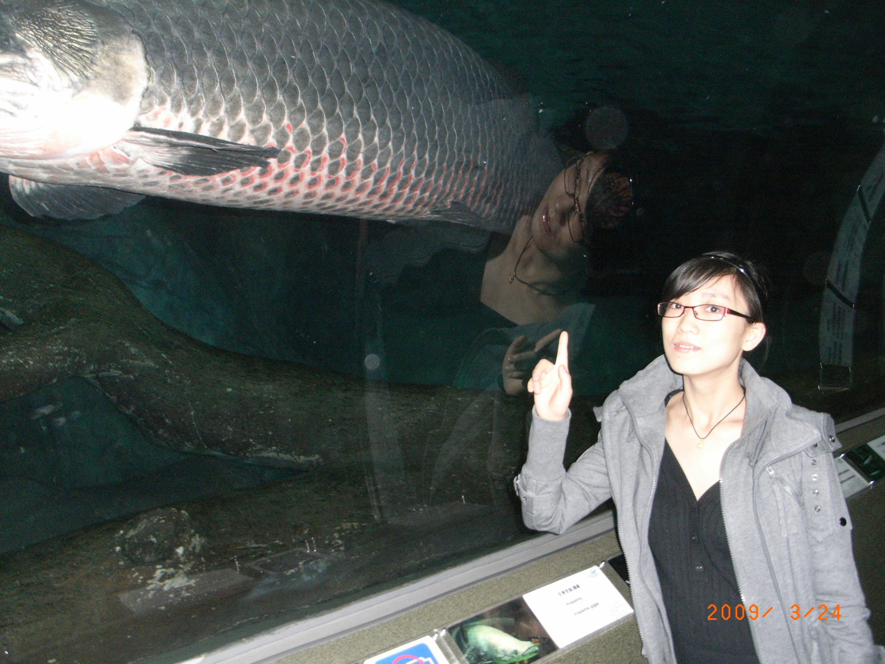 昆明海丽宾雅帕<em>佛伦斯</em>度假酒店怎么样\<em>好不好</em>