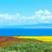 从西宁包车游青海湖,再到格尔木(拉萨)-格尔木