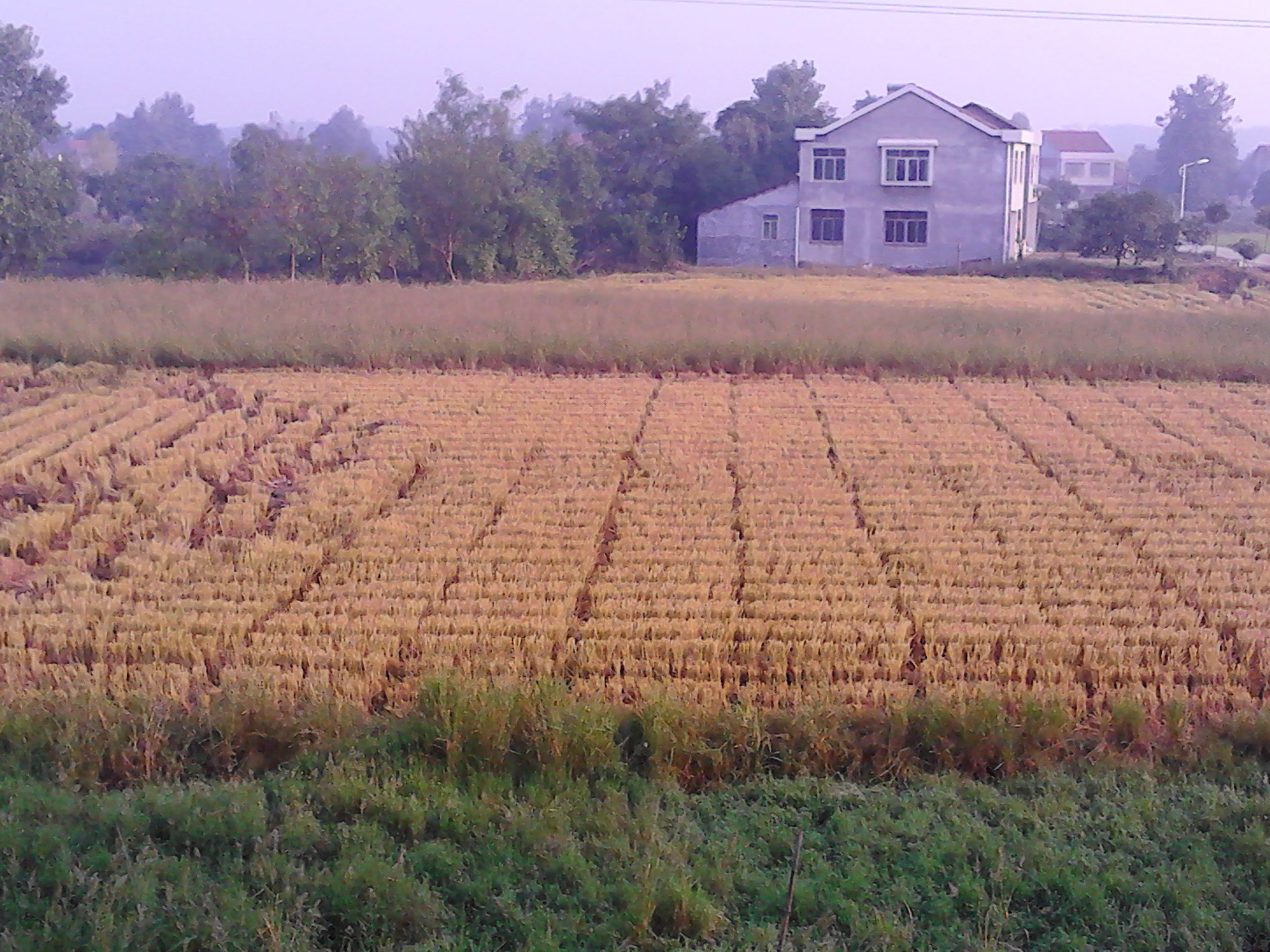 株洲金龙大酒店怎么样\好不好\服务点评