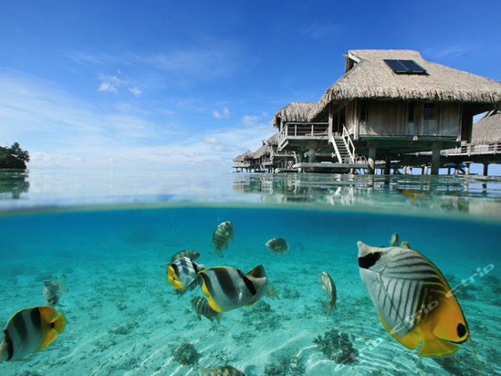 Hilton Bora Bora Nui Resort & Spa(ϣٶȼپƵ)