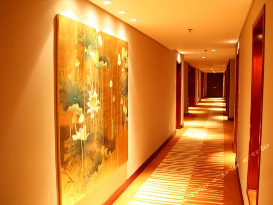 衢州饭店预订-衢州饭店价格,点评,电话查询