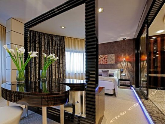 Hilton Frankfurt Airport(法兰克福机场希尔顿酒店)