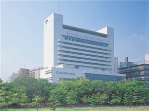大阪大阪城酒店预订及价格查询-日本大阪大阪