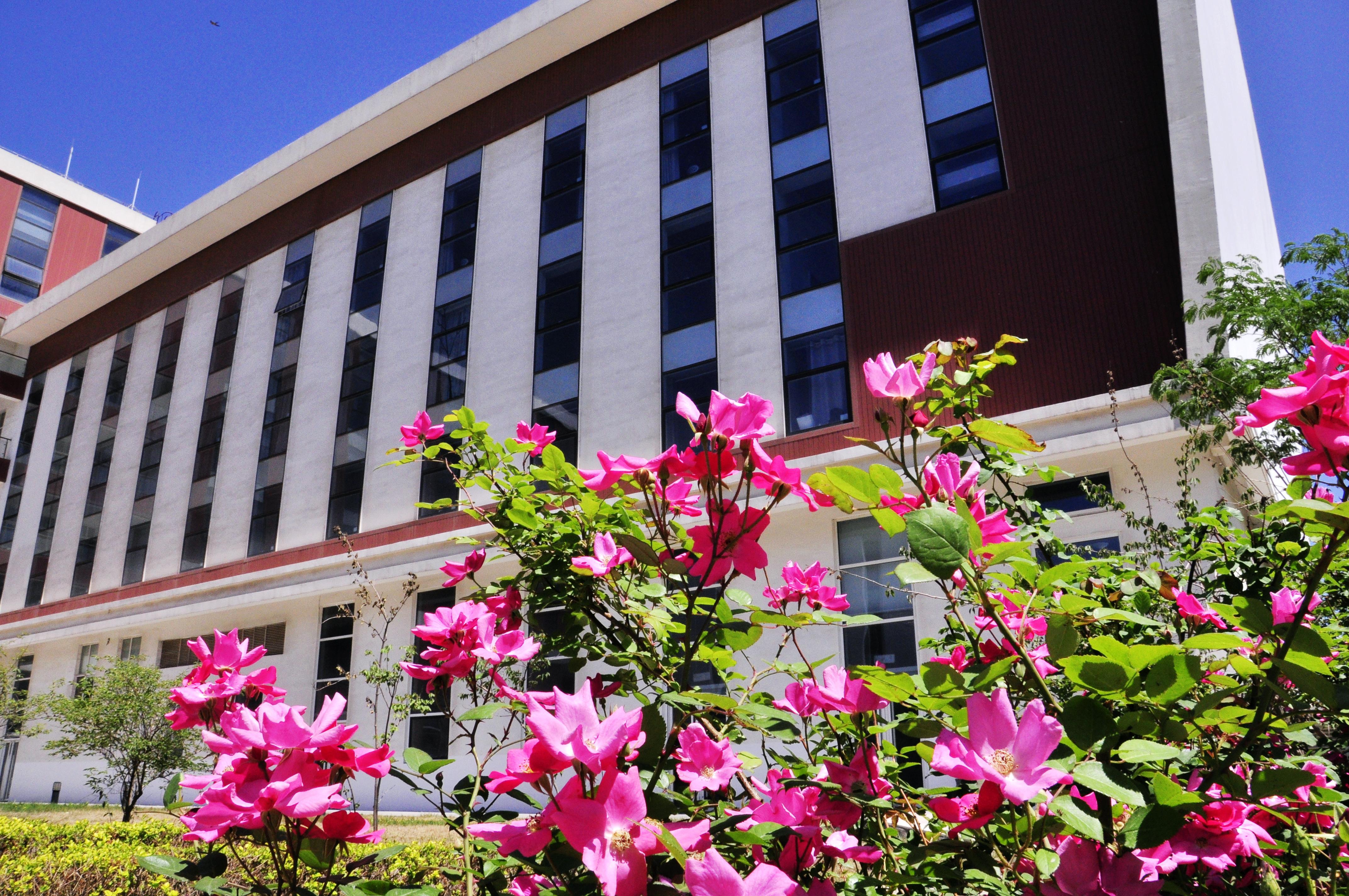 天津旅游住宿,天津住宿攻略,度假酒店,酒店网上