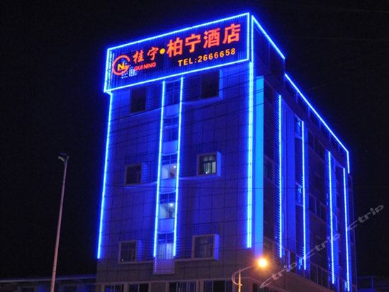 付柏宁图片