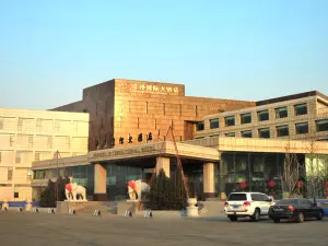 Fengze International Hotel