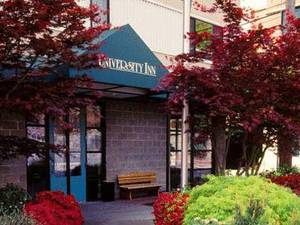 University Inn(ѧƵ)