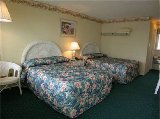 美国游猎汽车旅馆American Safari Motel预订及