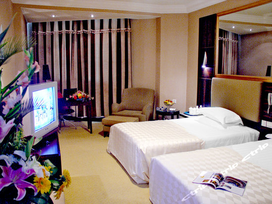 青岛海情大酒店图片及房间照片